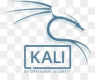 Kali Linux Training in Botswana