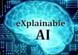 Explainable AI (XAI) Training in Botswana
