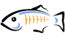 GlassFish Training in Botswana