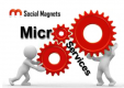 Microservices Training in Botswana