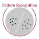 Pattern Recognition Training in Botswana