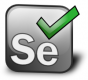 Selenium Training in Botswana