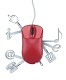 Web Services Training in Botswana