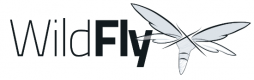 Wildfly Training in Botswana